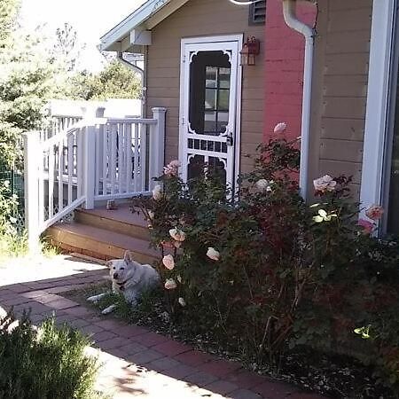 جوليان Blue Bird Cottage - Pet Friendly المظهر الخارجي الصورة