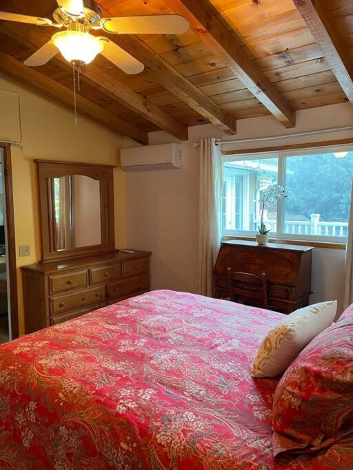 جوليان Blue Bird Cottage - Pet Friendly المظهر الخارجي الصورة