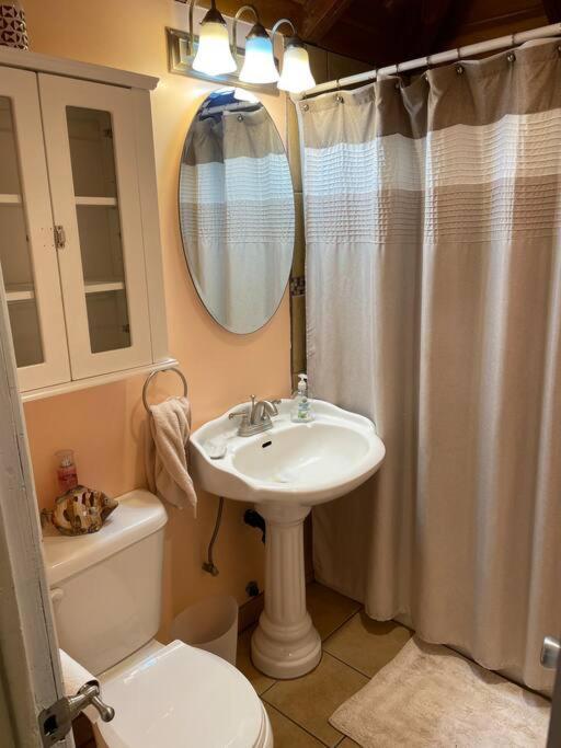 جوليان Blue Bird Cottage - Pet Friendly المظهر الخارجي الصورة