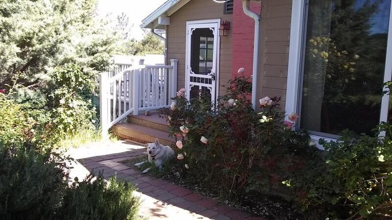جوليان Blue Bird Cottage - Pet Friendly المظهر الخارجي الصورة